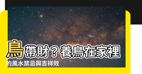 養鳥 風水|【家裡養鳥】家裡養鳥禁忌全攻略！風水注意事項不可不知